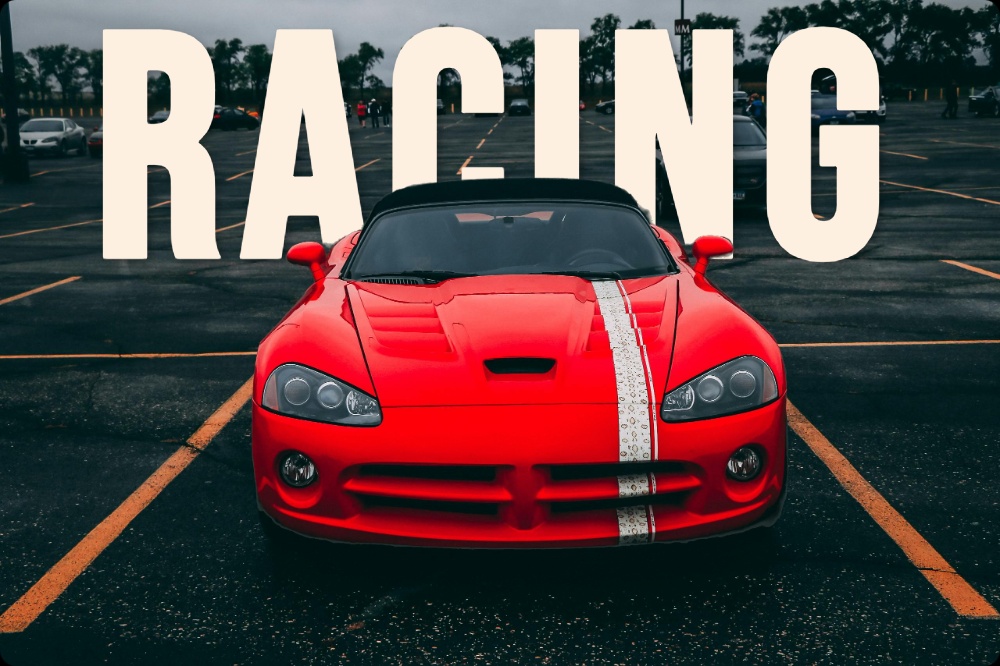 Professional Portraits